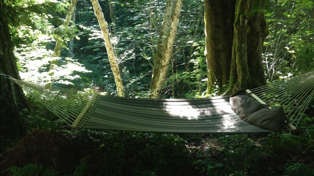 Photo of Others in Hoodsport