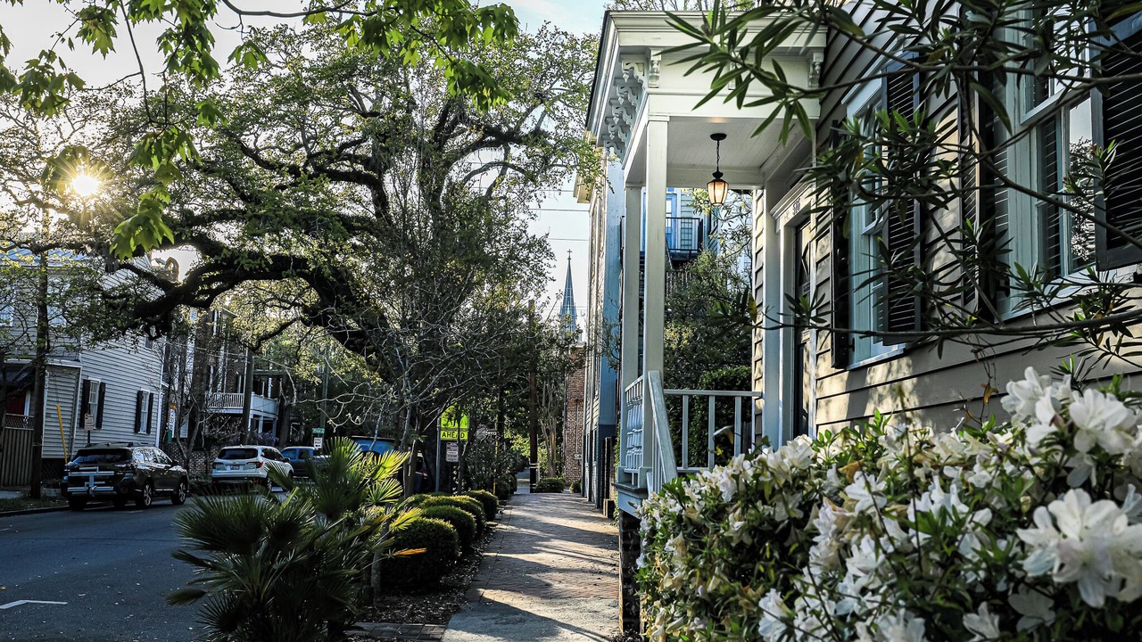 Photo of Outdoor in Beach Institute