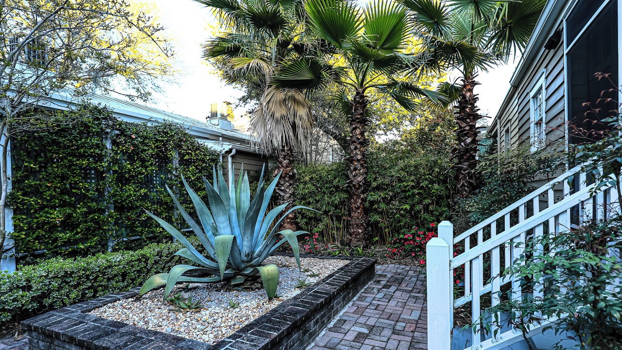 Photo of Outdoor in Beach Institute