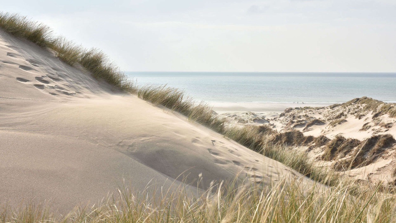 Photo of Others in Bourbourg