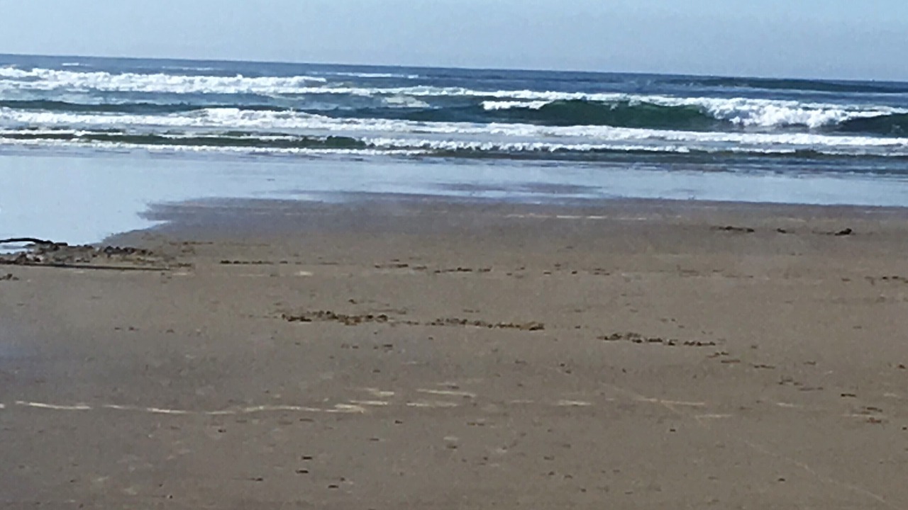 Photo of Others in Waldport
