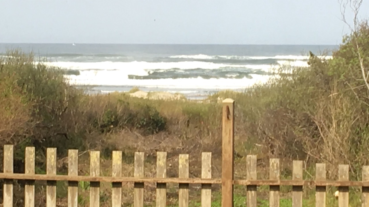 Photo of Others in Waldport