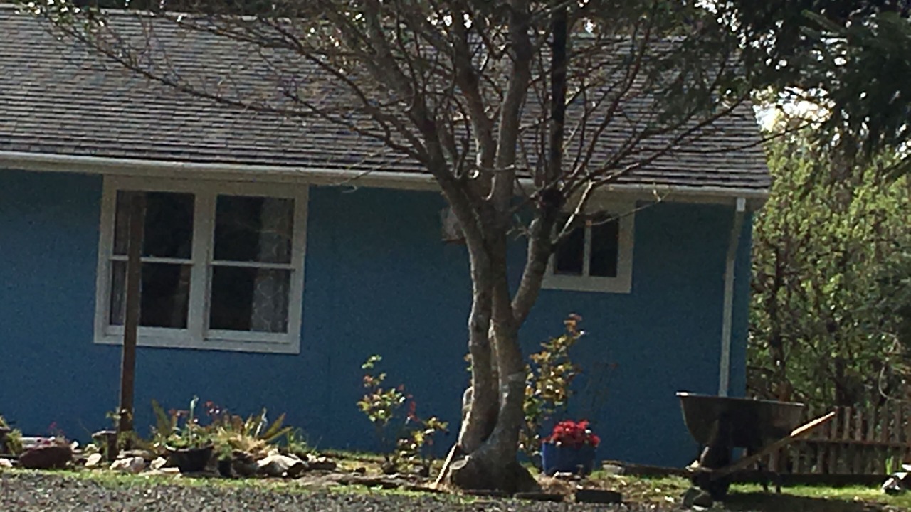 Photo of Others in Waldport