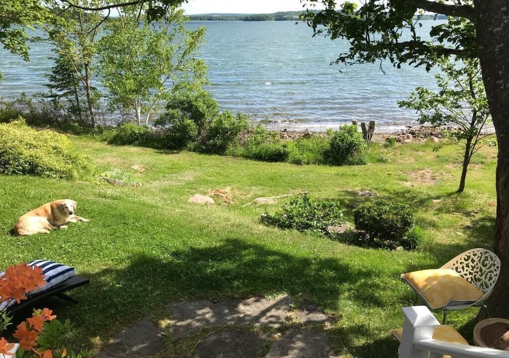 Photo of Others in Antigonish