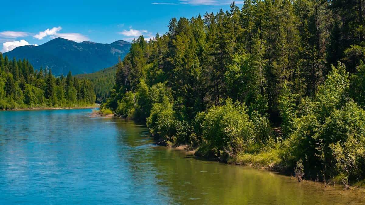 Photo of Others in Whitefish