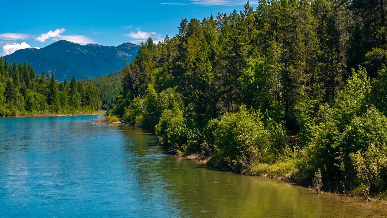 Photo of Others in West Glacier