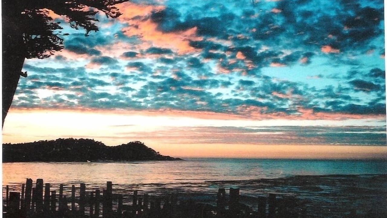 Photo of Others in Carmel