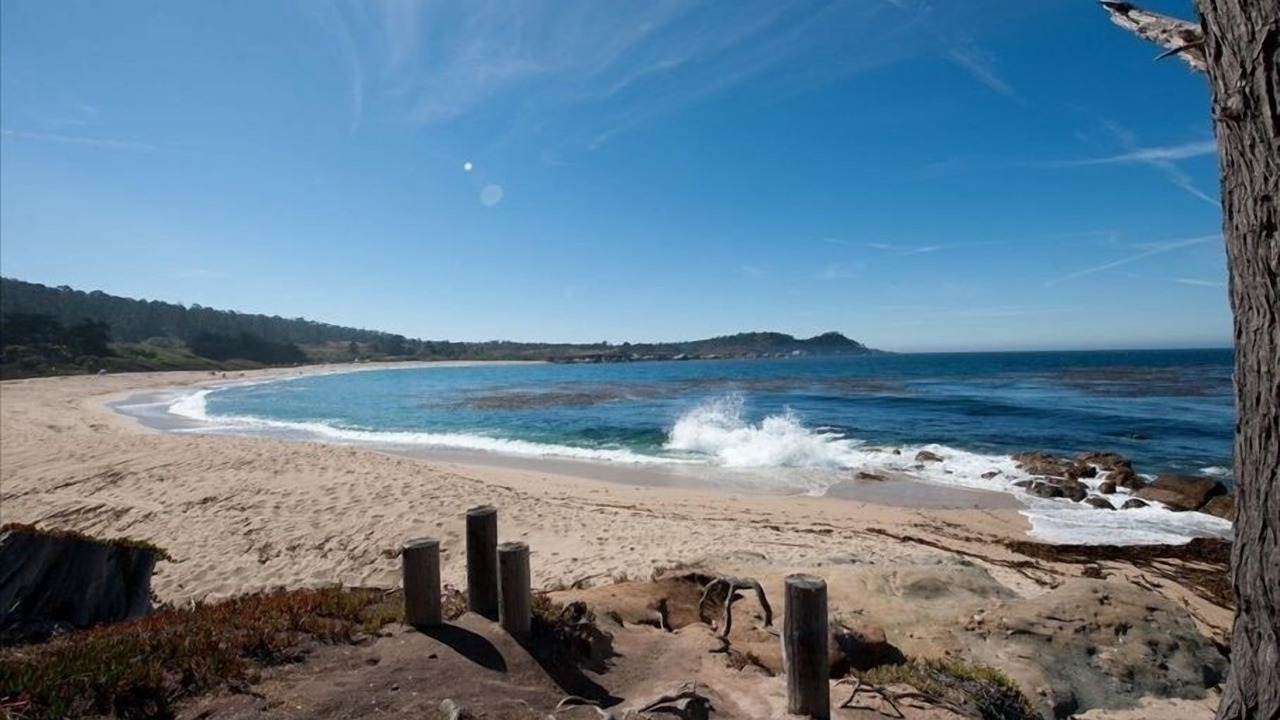 Photo of Others in Carmel