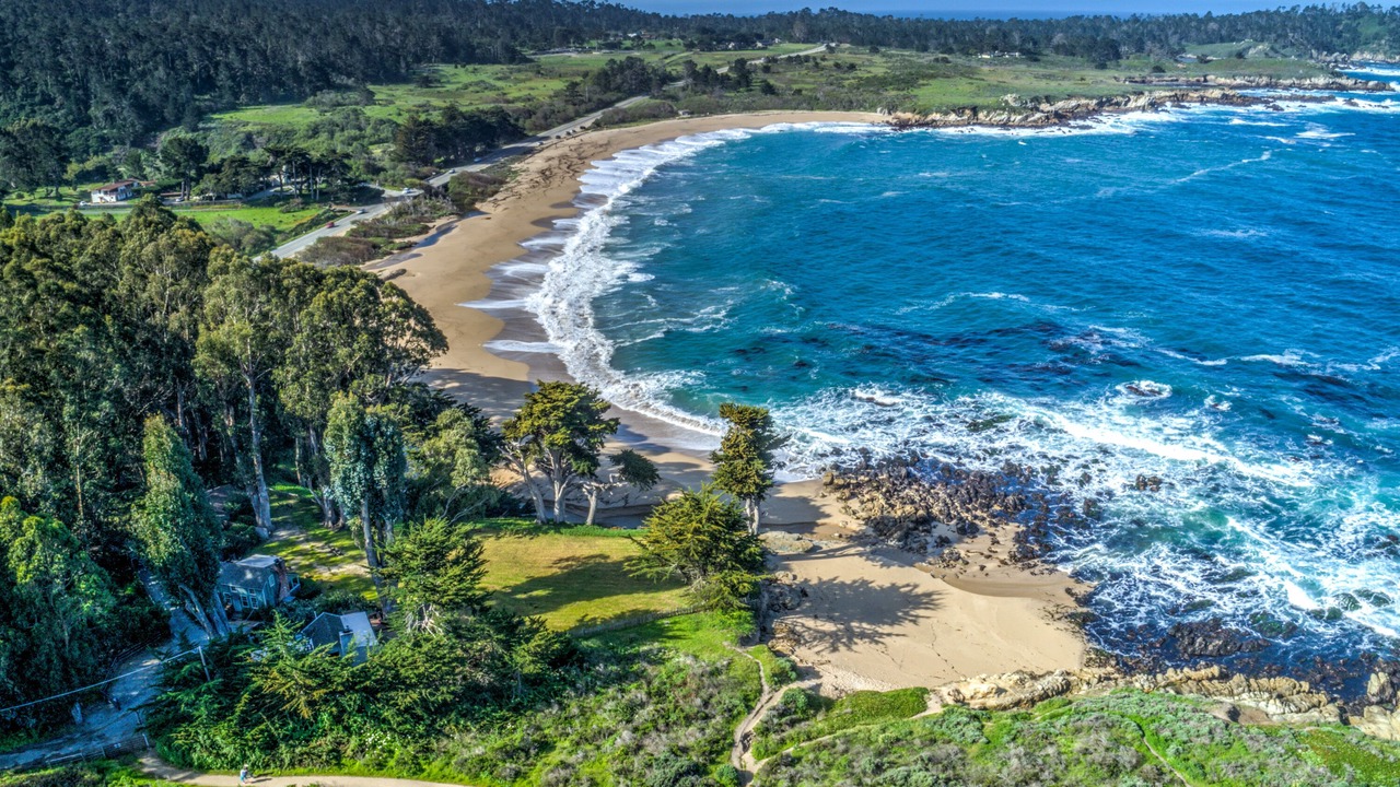 Photo of Others in Carmel