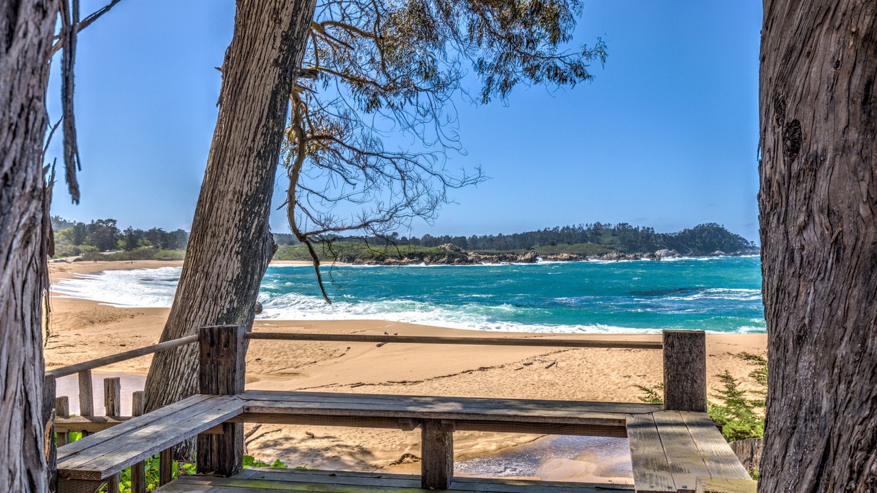 Photo of Others in Carmel