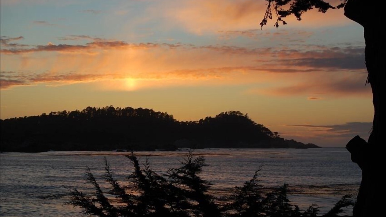 Photo of Others in Carmel