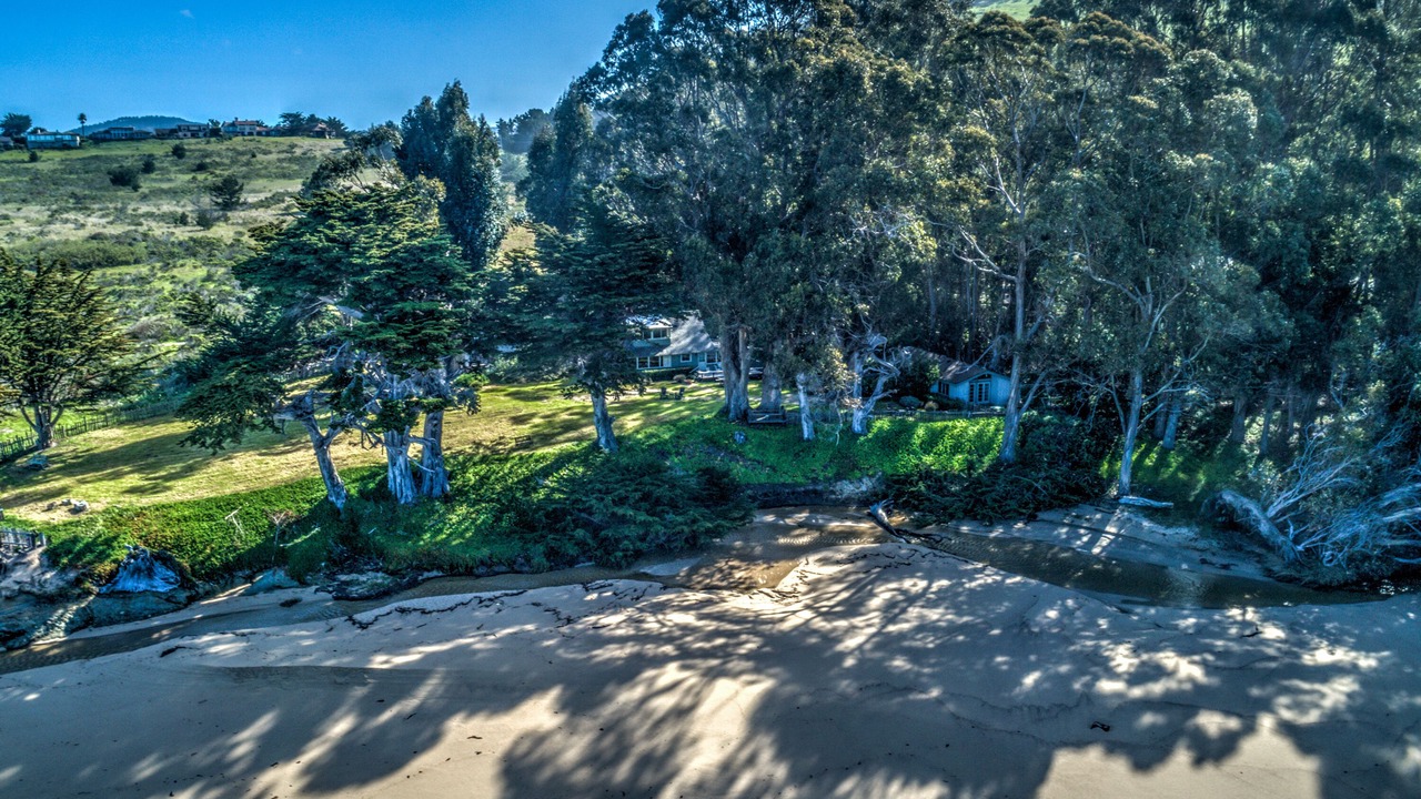 Photo of Others in Carmel