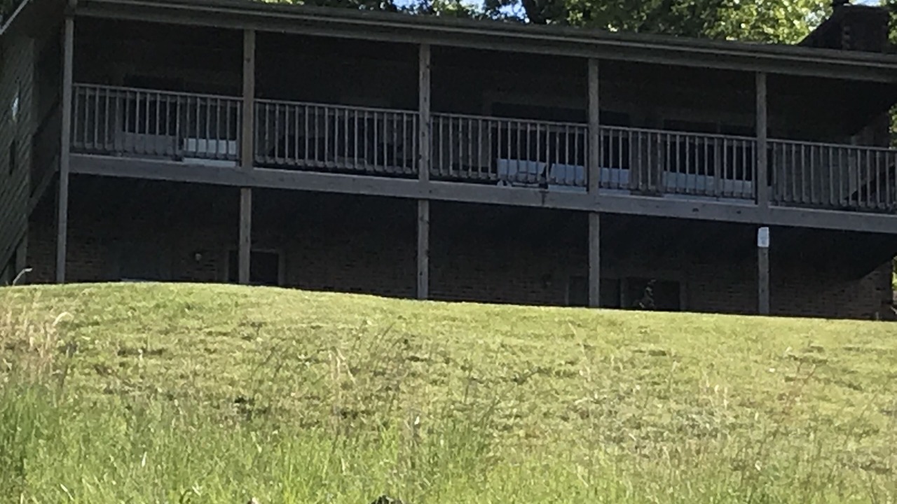 Photo of Others in Shell Knob