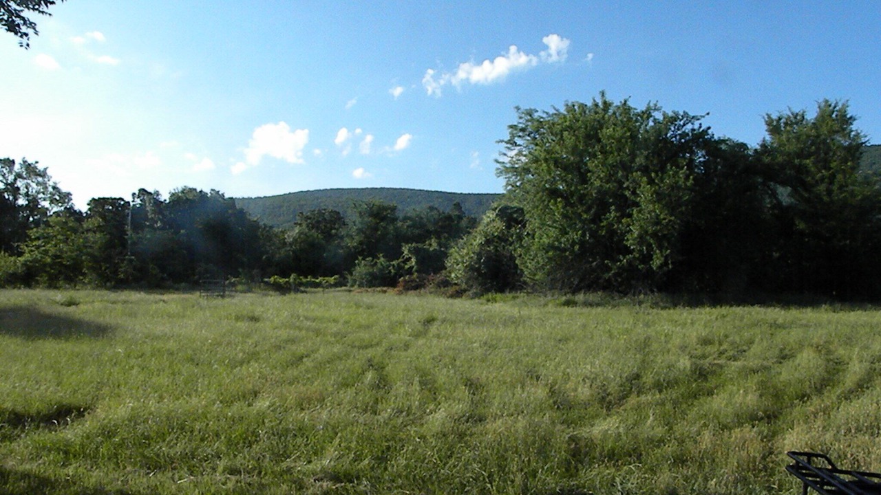 Photo of Outdoor in Nashoba