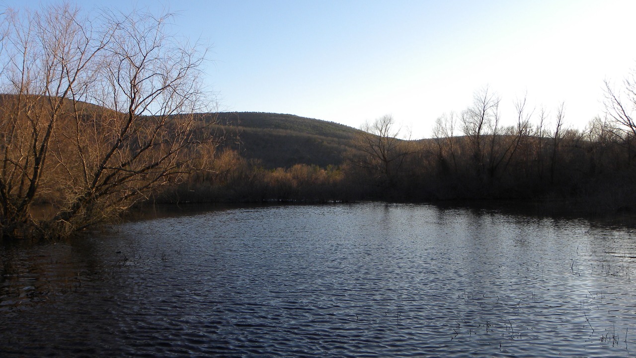 Photo of Others in Nashoba