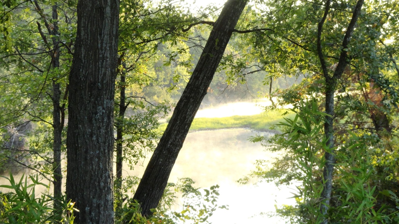 Photo of Outdoor in Nashoba