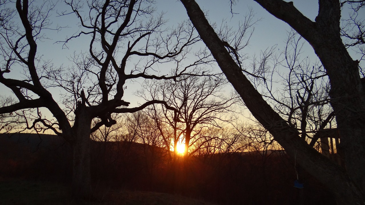 Photo of Outdoor in Nashoba