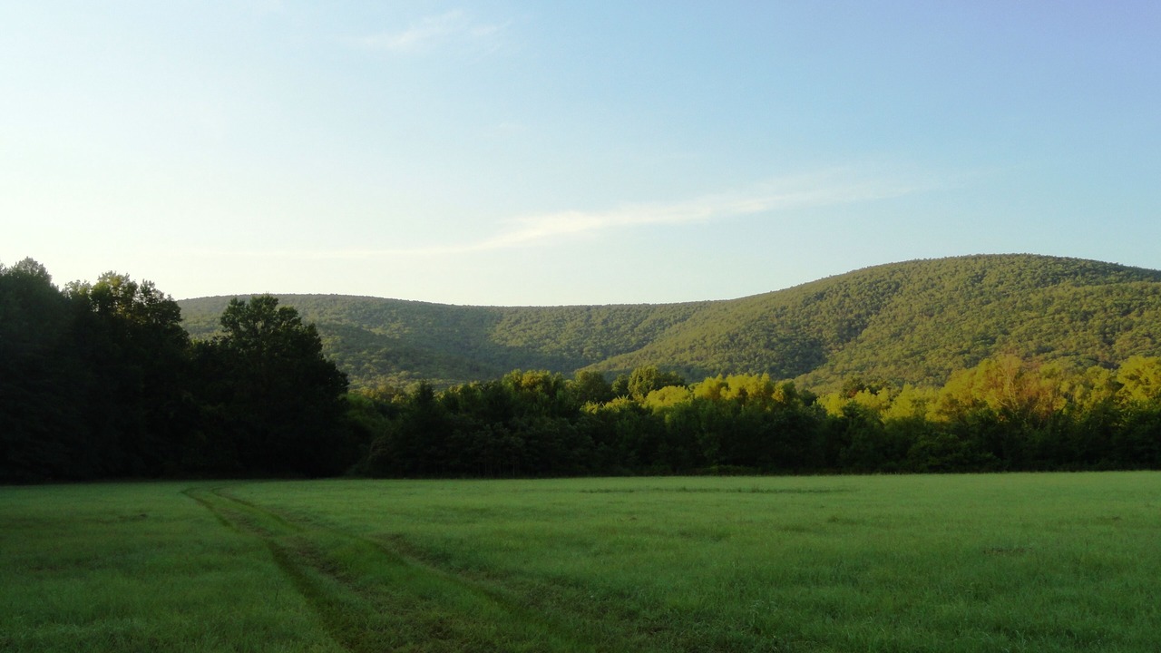 Photo of Outdoor in Nashoba