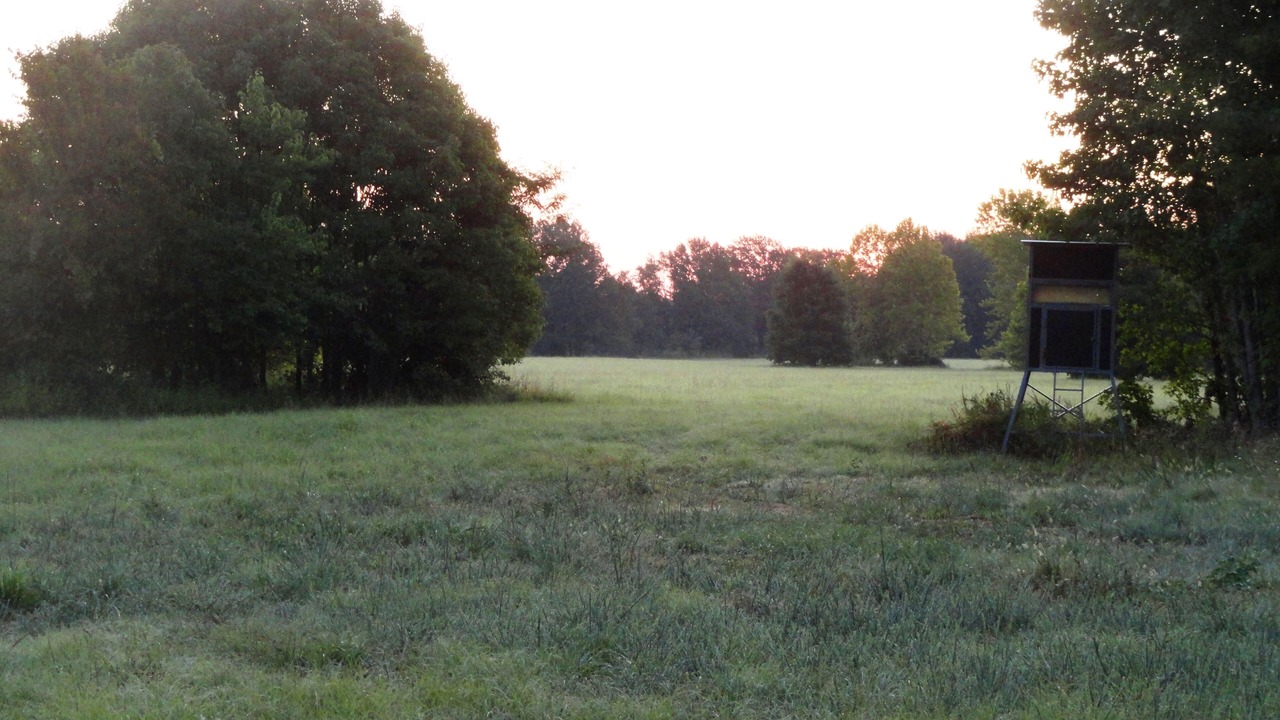 Photo of Outdoor in Nashoba