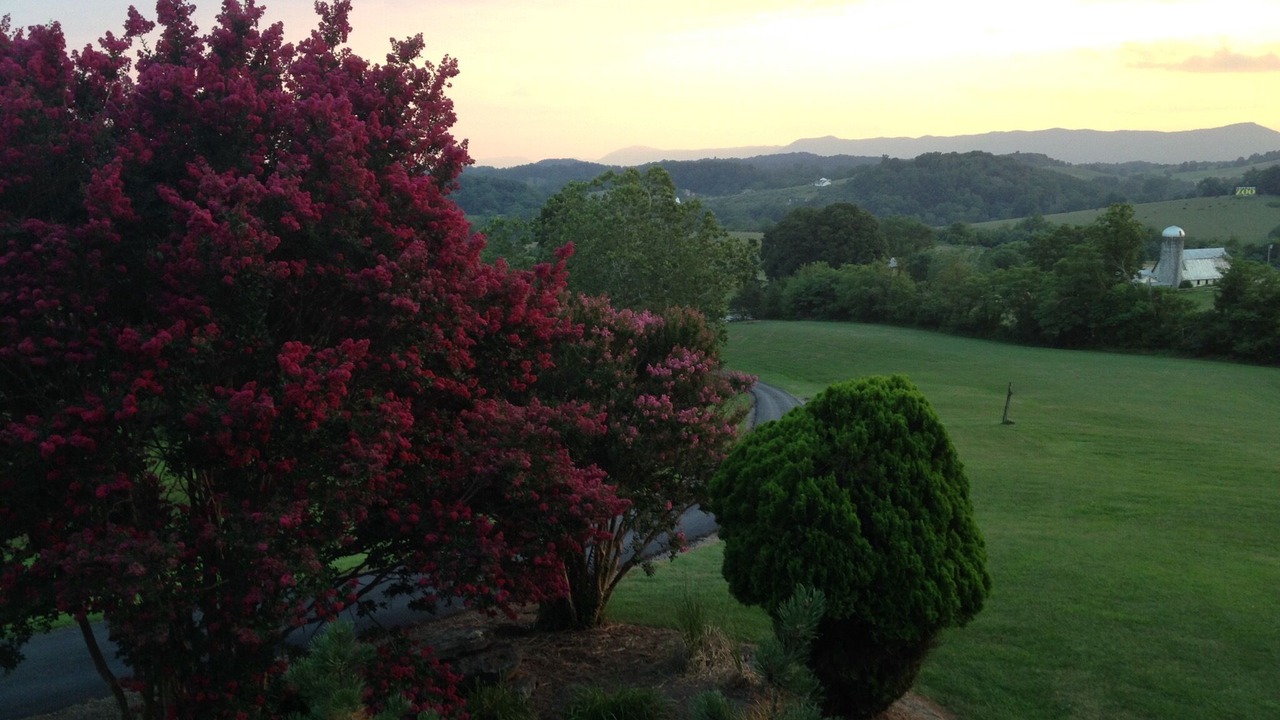 Photo of Outdoor in Lexington