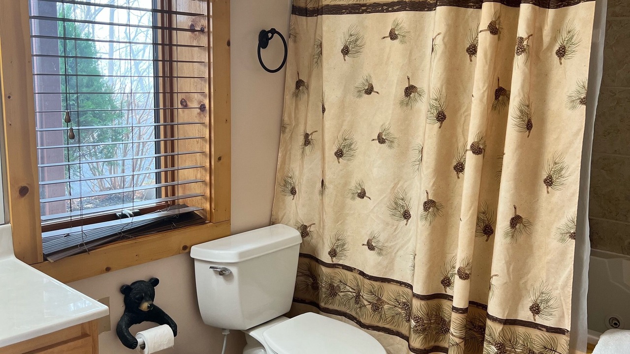Photo of Bathroom in Sevierville