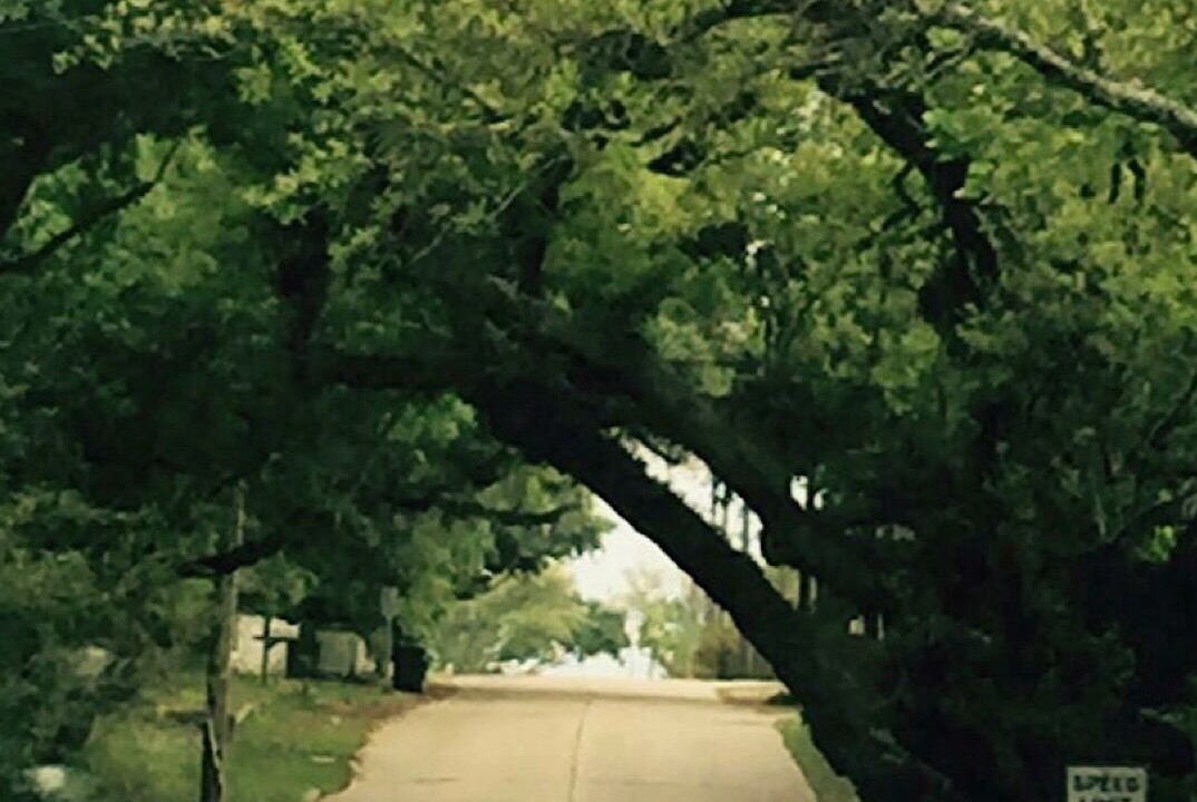 Photo of Others in Ocean Springs