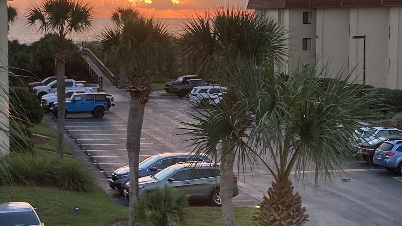 Photo of Outdoor in St. Augustine Beach