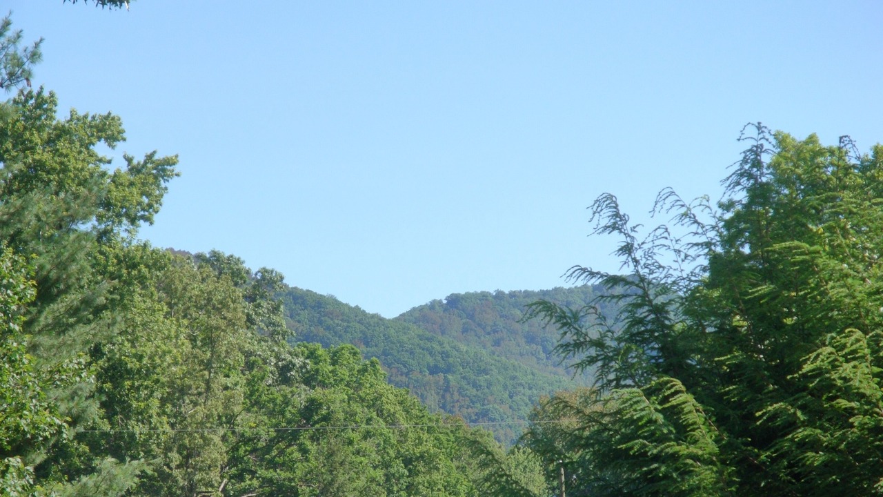 Photo of Outdoor in Black Mountain