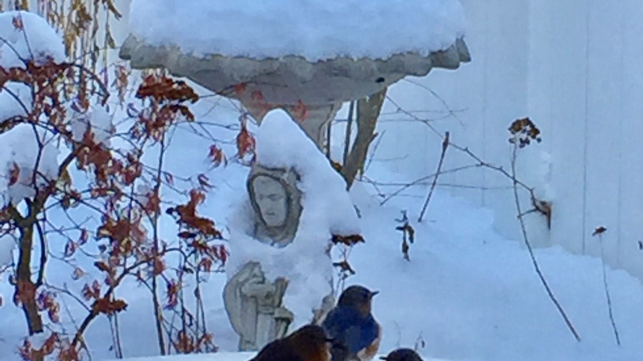 Photo of Others in Black Mountain