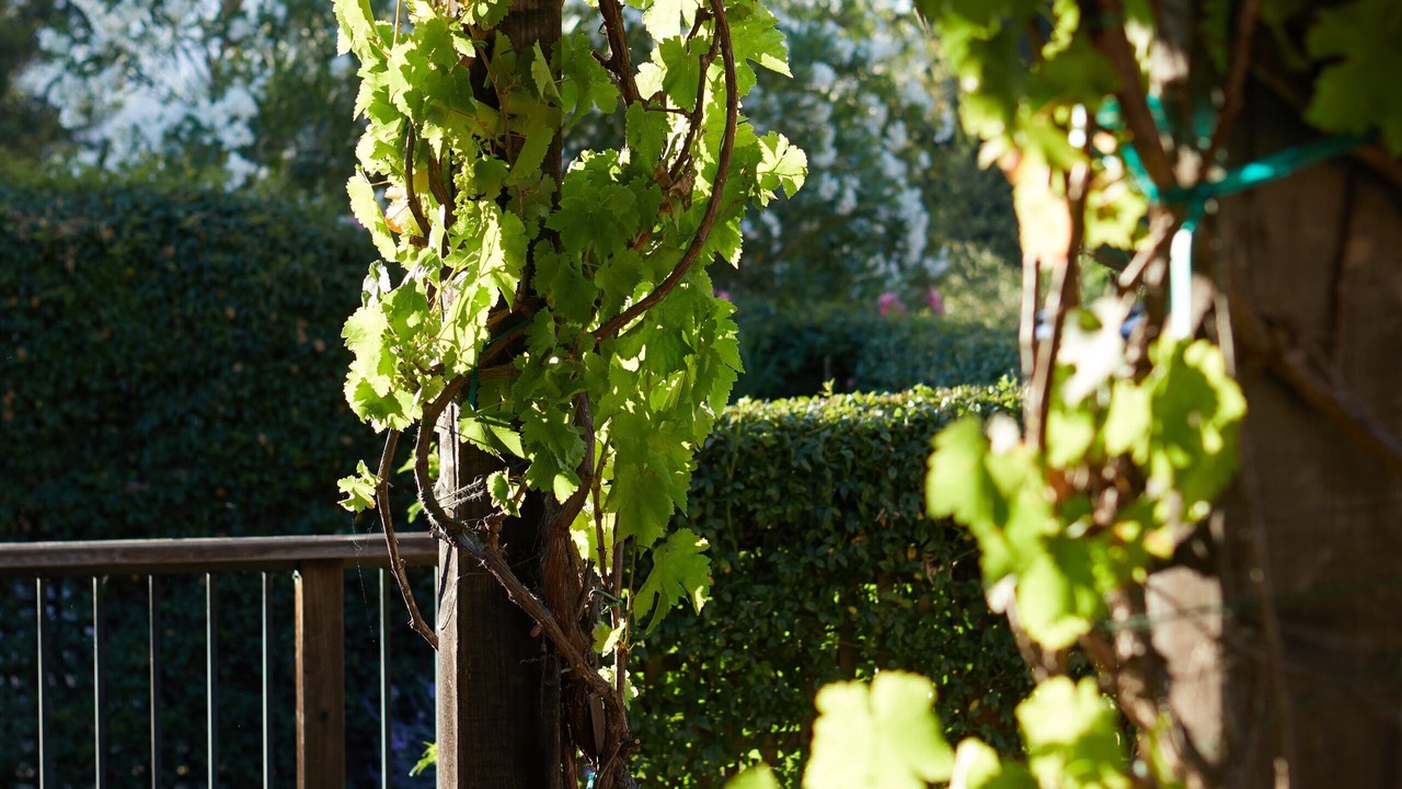 Photo of Others in Cloverdale