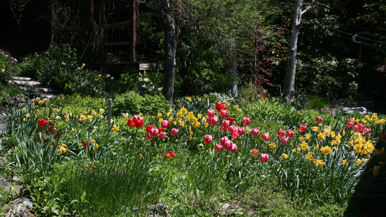 Photo of Outdoor in New Bonaventure
