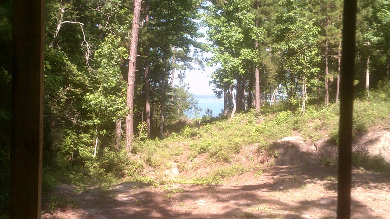 Photo of Outdoor in Jasper