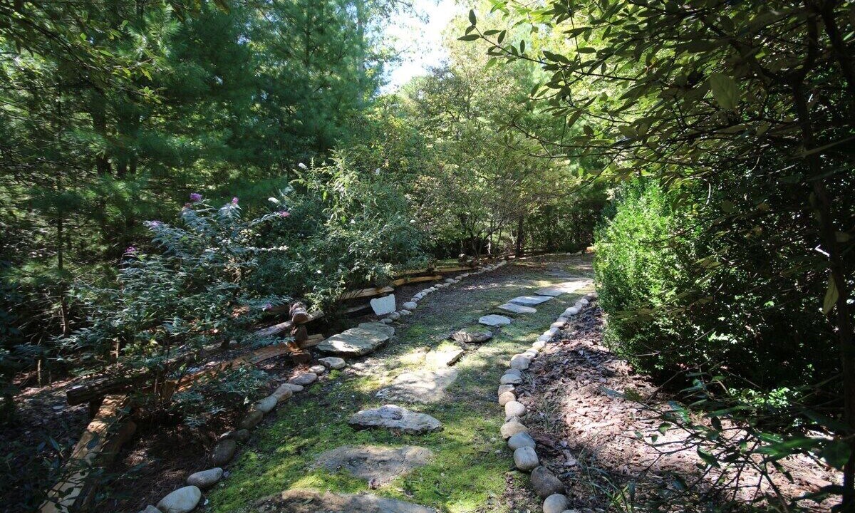 Photo of Others in Pisgah Forest