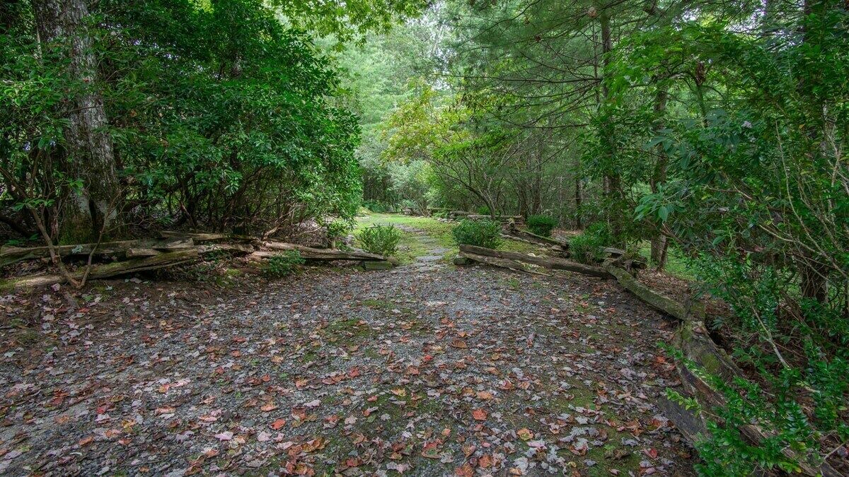 Photo of Others in Pisgah Forest