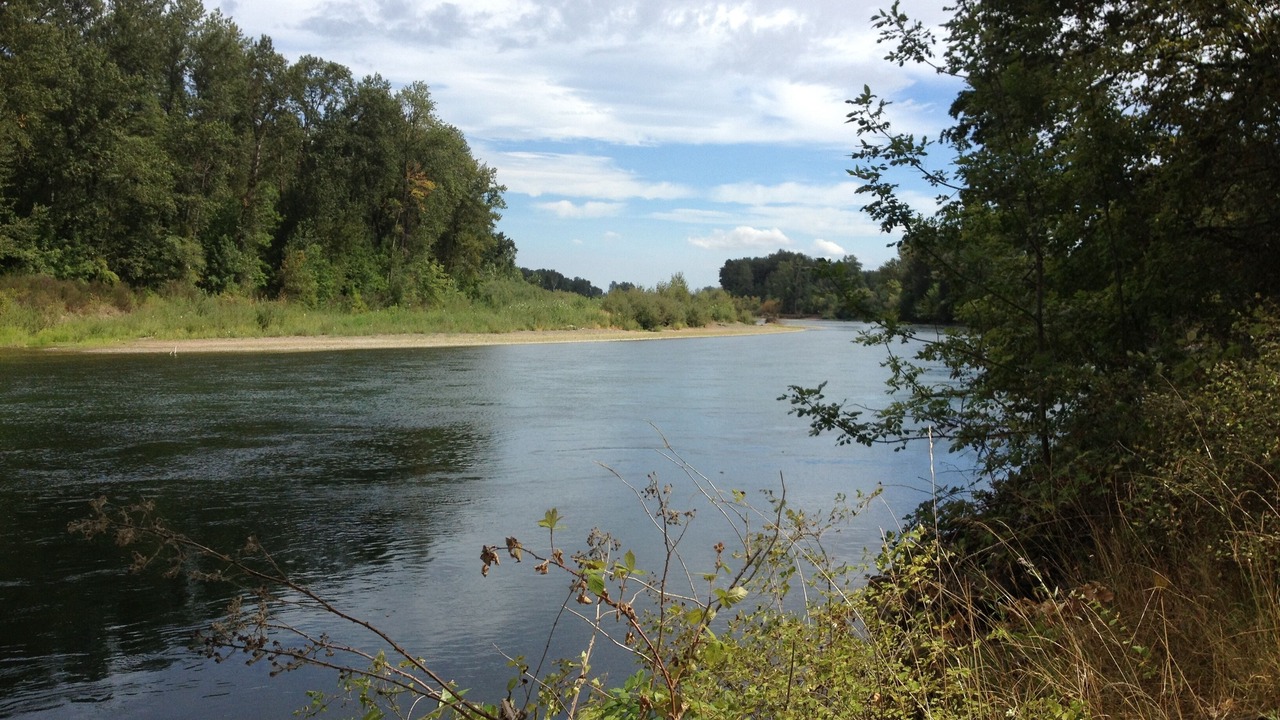 Photo of Outdoor in Eugene