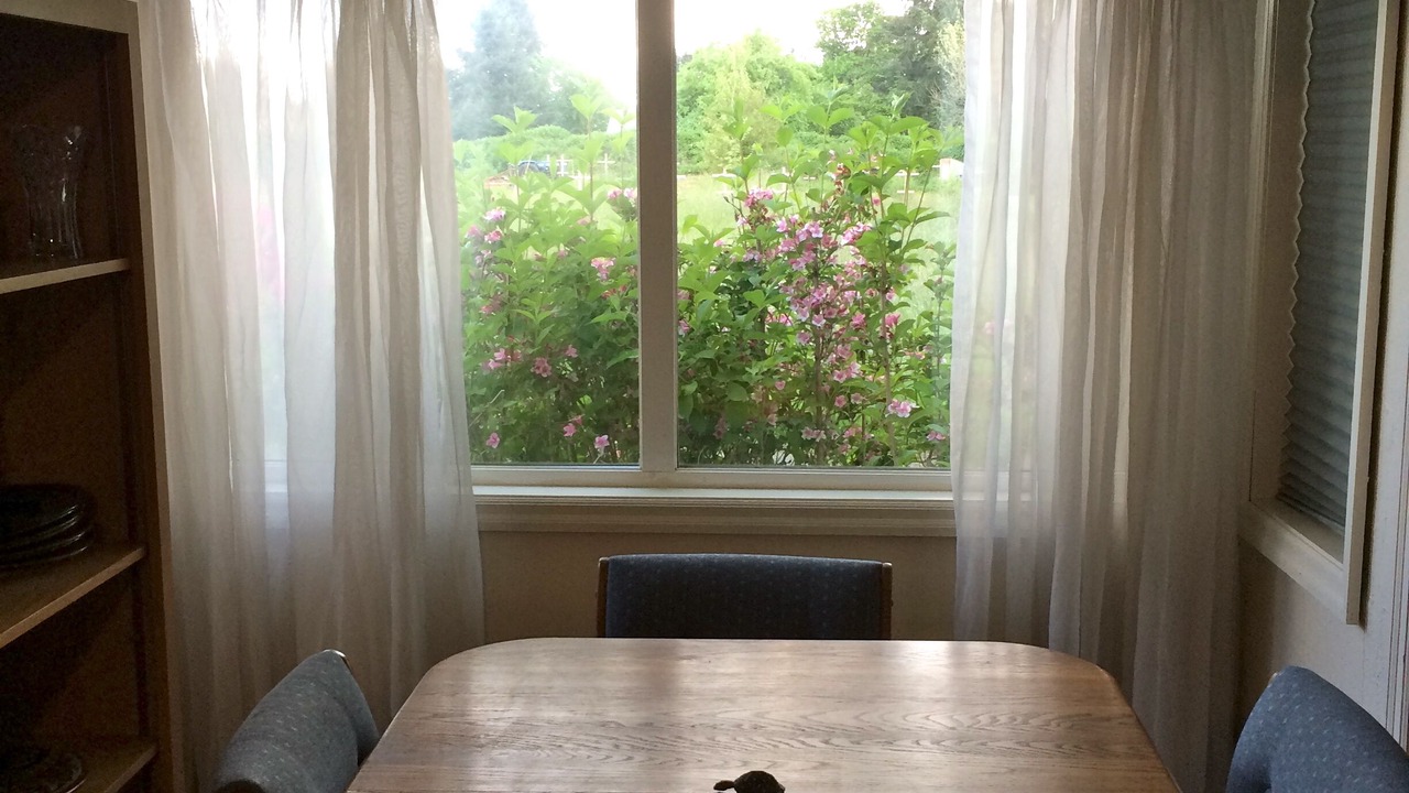 Photo of Others in Eugene