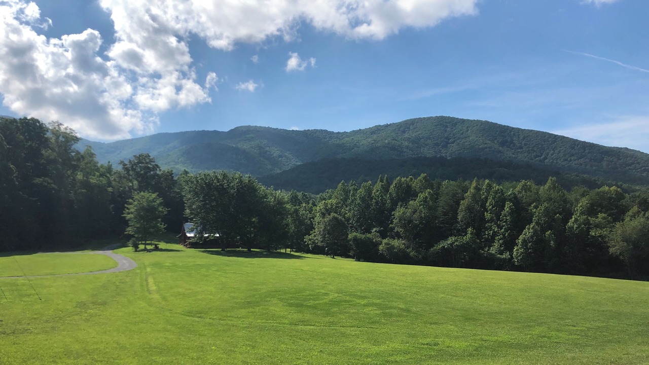 Photo of Others in Tellico Plains