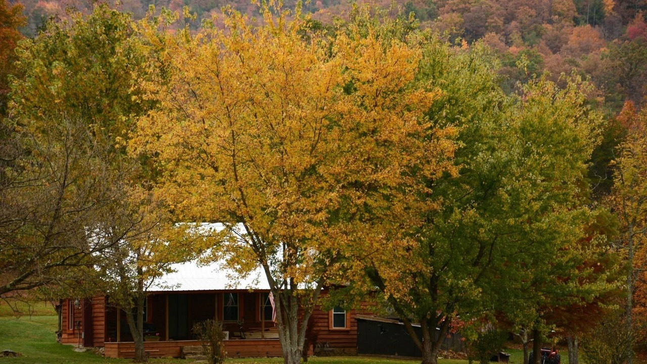 Photo of Outdoor in Tellico Plains