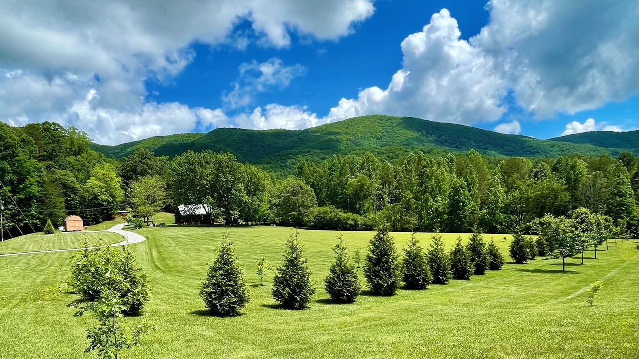 Photo of Outdoor in Tellico Plains
