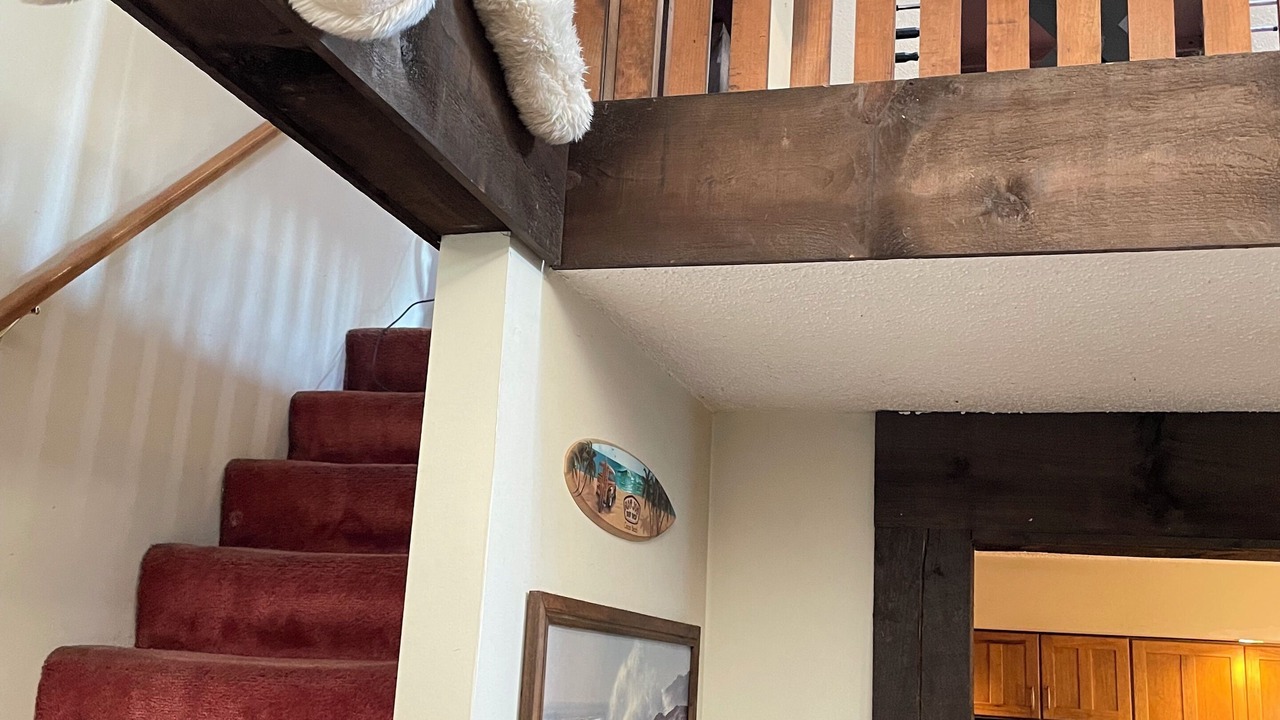 Photo of Others in Lake George