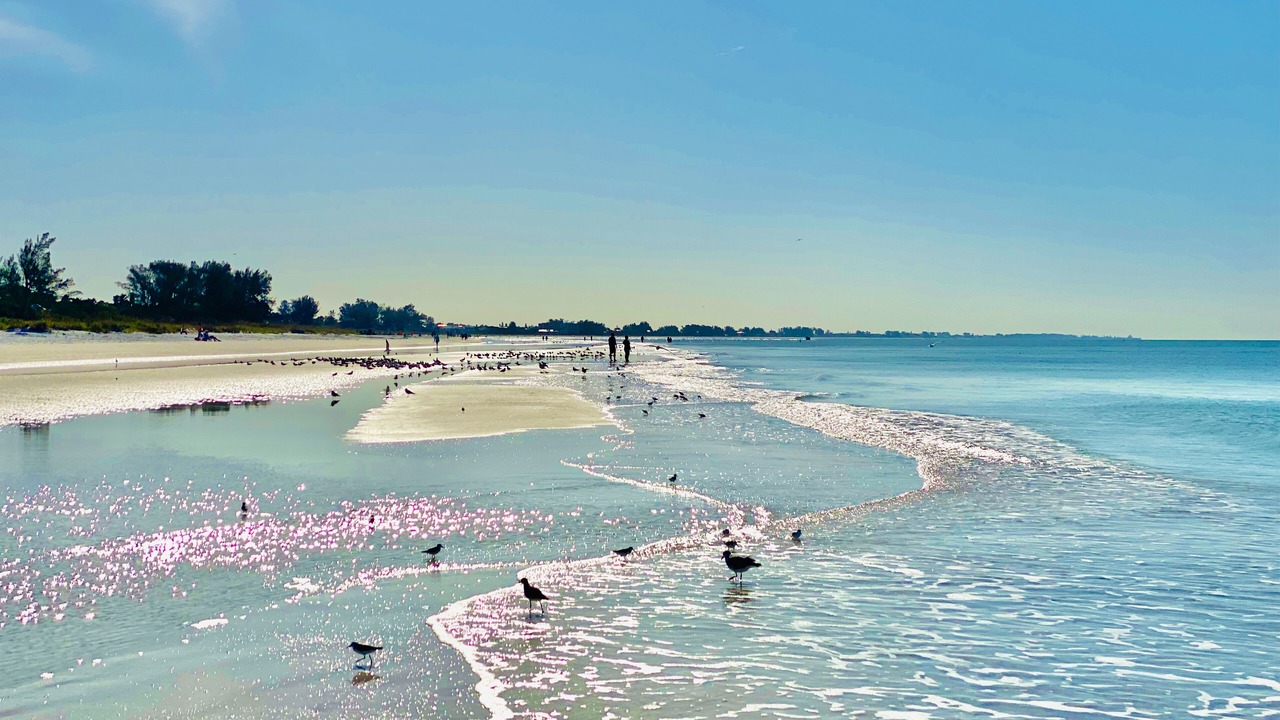 Photo of Others in Holmes Beach