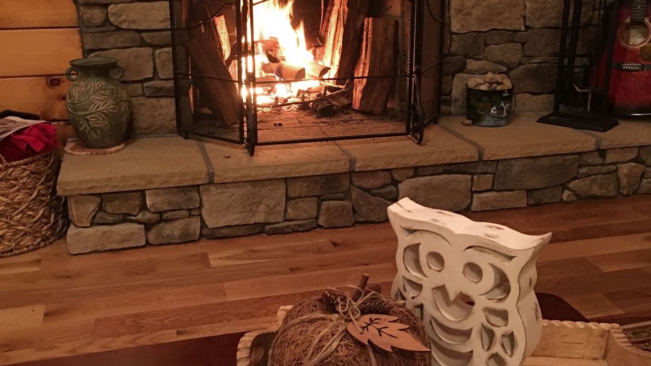 Photo of Livingroom in Burks Fork