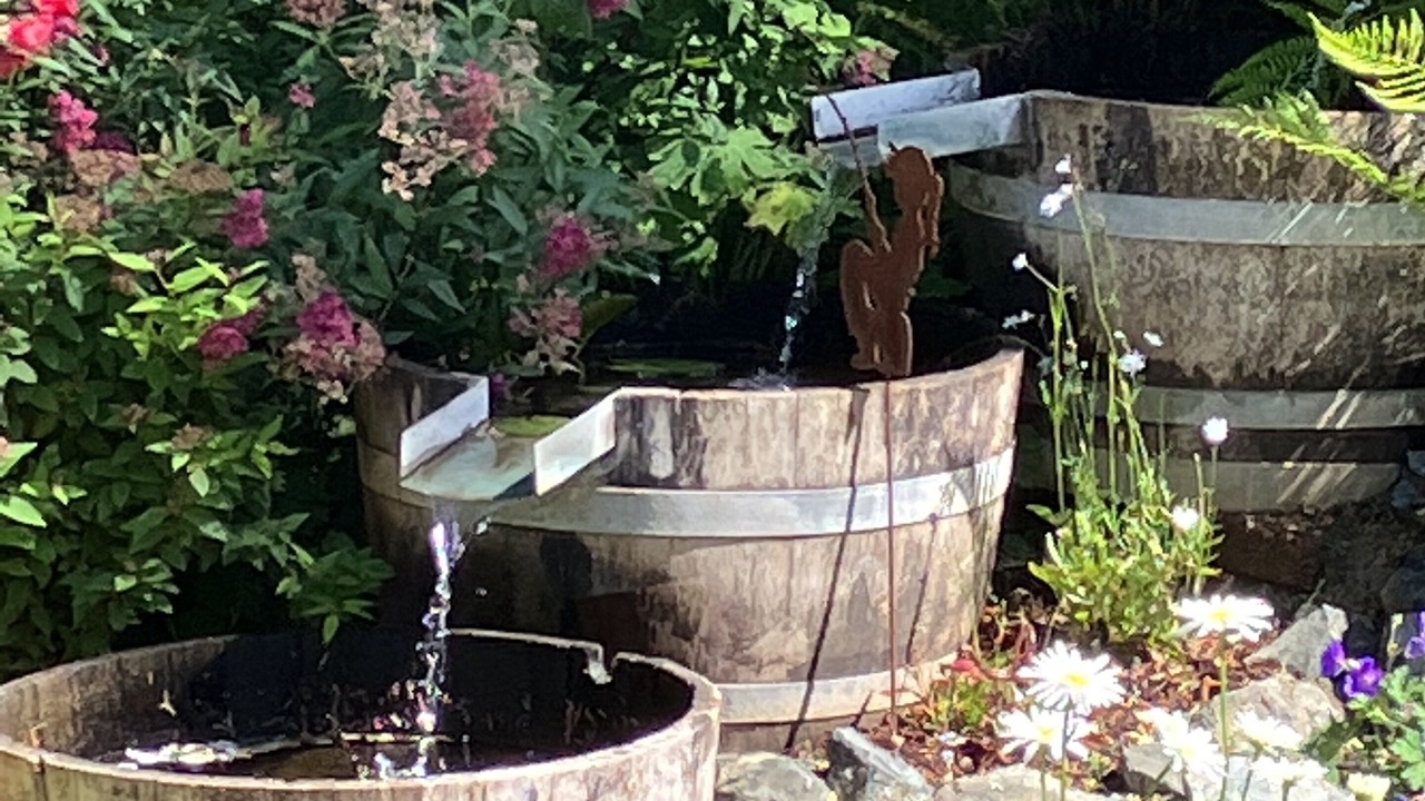 Photo of Outdoor in North Bend