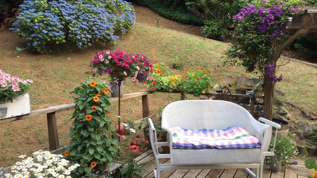 Photo of Outdoor in North Bend