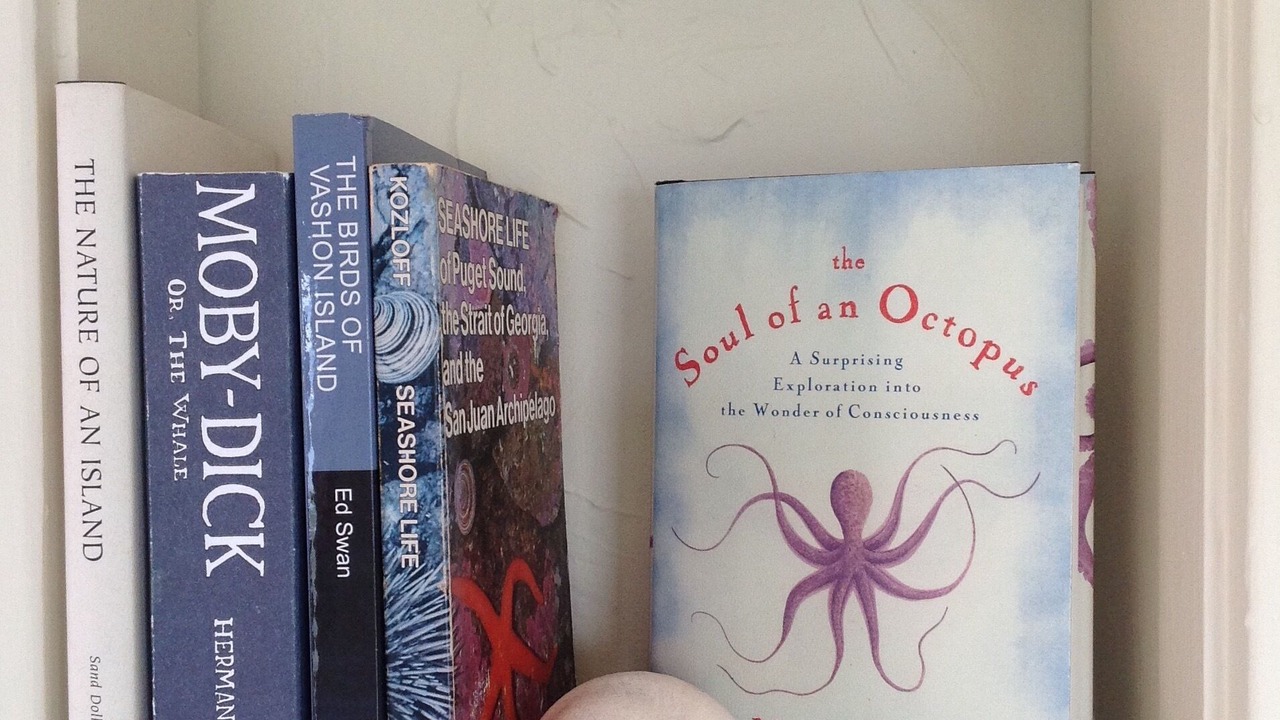 Photo of Others in South Colby