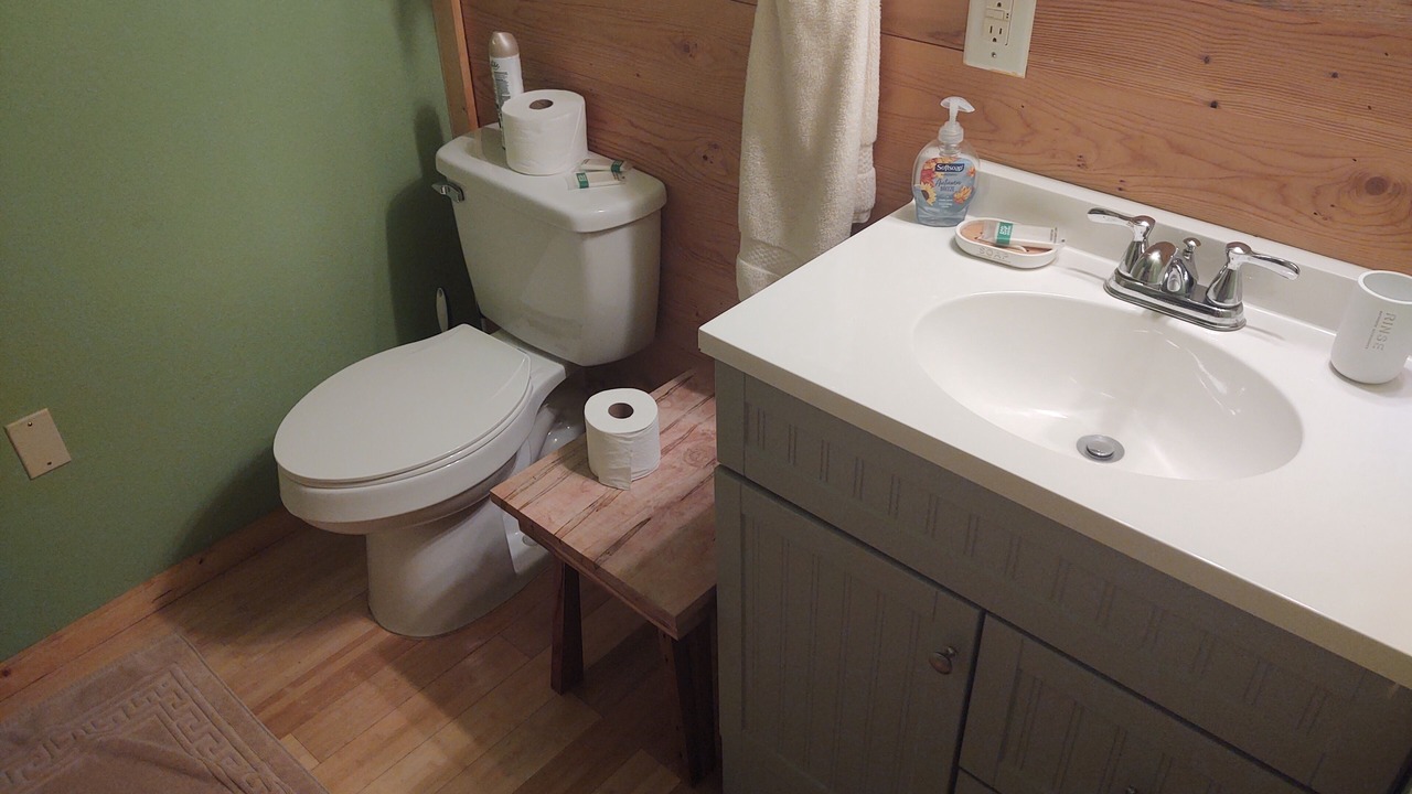 Photo of Bathroom in Bryson City