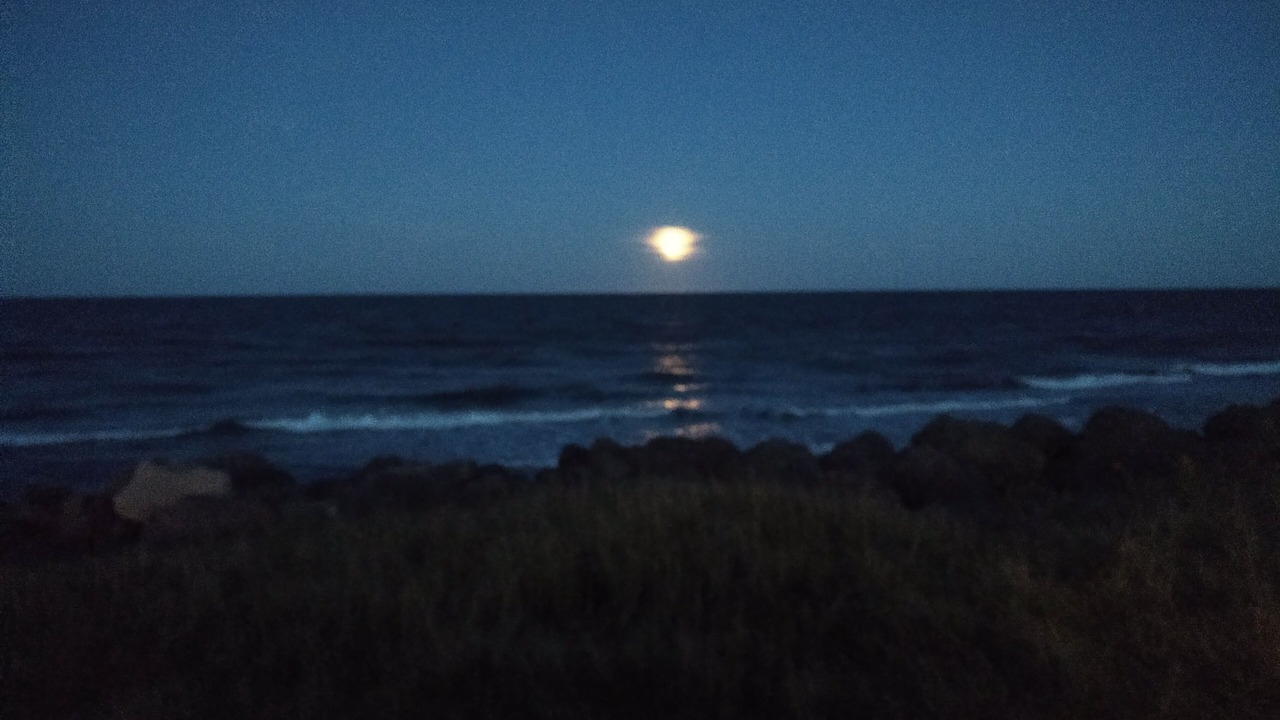 Photo of Others in Tignish
