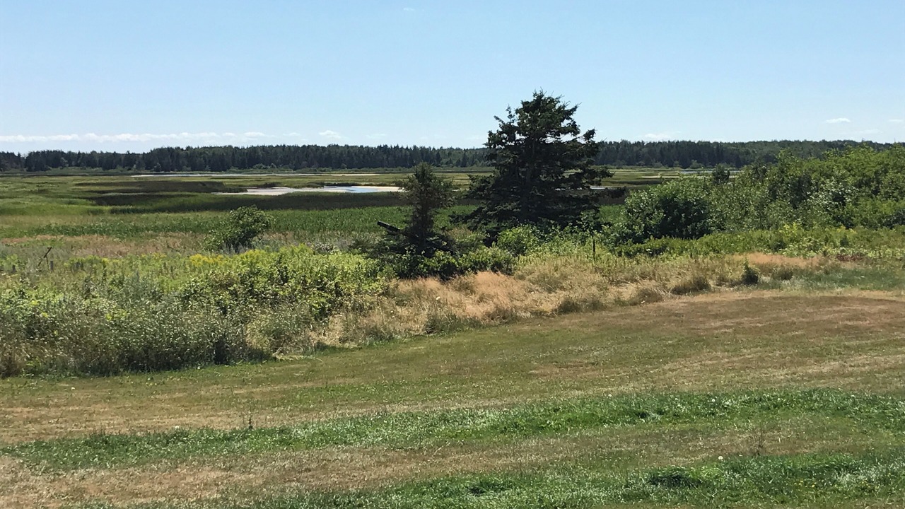 Photo of Outdoor in Tignish