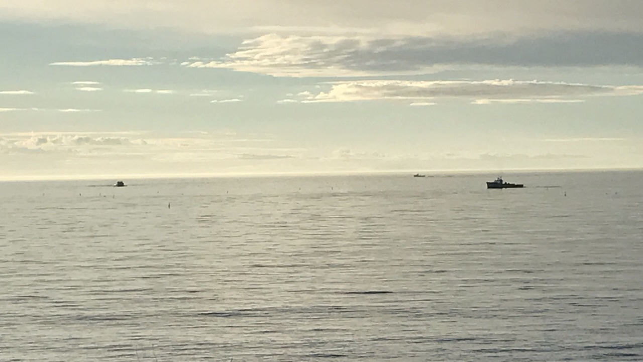 Photo of Others in Tignish