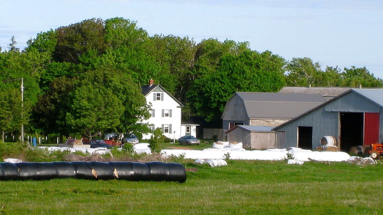 Photo of Outdoor in Greenwich